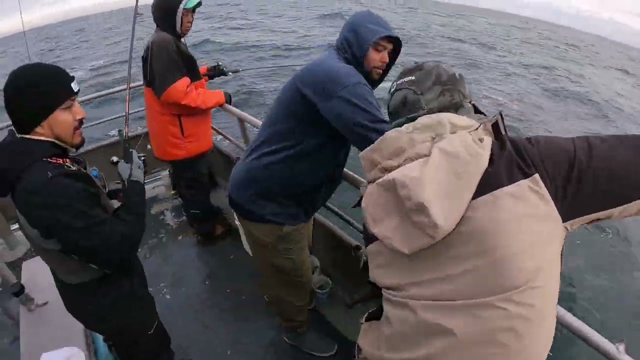 Dauntless Fishing 11 29 2024