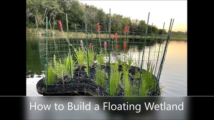 How to Build an Island in a Pond: Ultimate Guide