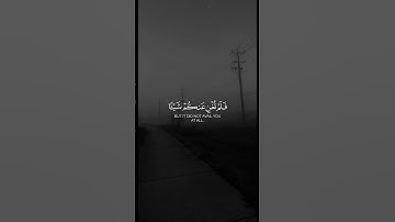 #ابوبكر_الشاطري #سورة_التوبة #قرآن #قران_كريم #quran
