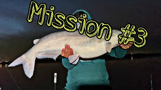 Mission #3 CATFISHING the North Texas Lakes ( we got Spoiled )