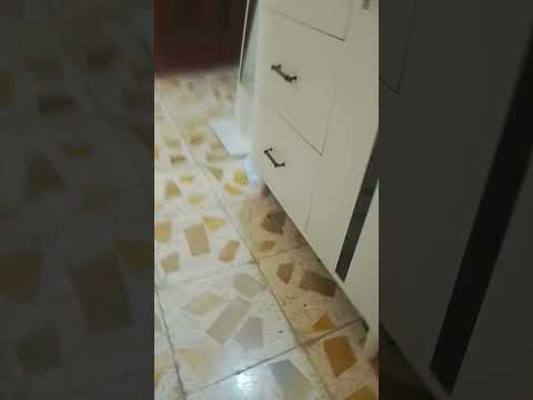 اكسبلور ضحك ترند تيك توك  ورك  اهميه