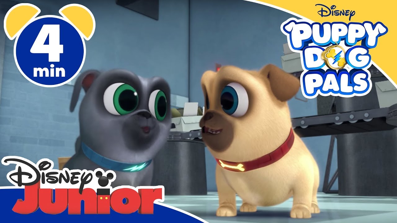 Puppy Dog Pals | La busta - Disney Junior Italia