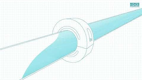 Merus Ring Technology Introduction