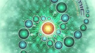 Anatomic - The Illusion