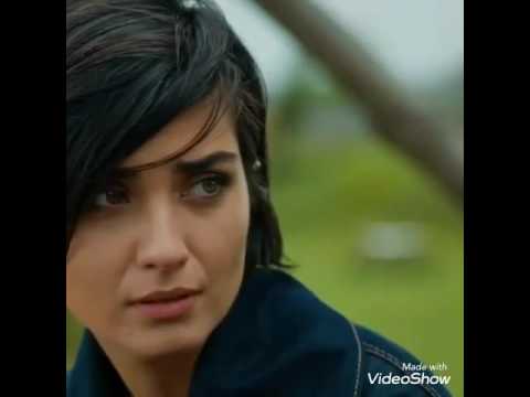 ناصيف زيتون خلص استحي