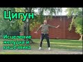 Цигун: исцеление желудка и кишечника