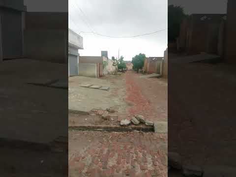 Barish Kay Baad Bhi Hamara Gaon Saaf Suthra Hai | Beautiful Punjabi Village | Arain Vibes
