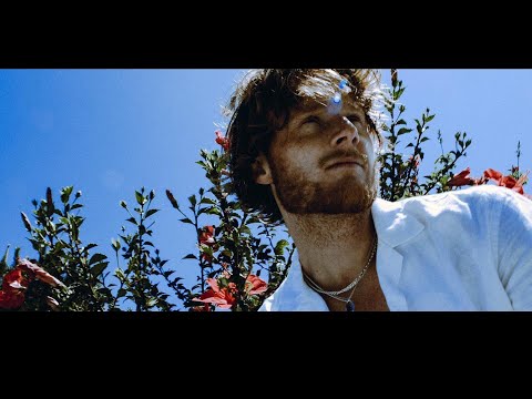 Matt Hansen The Nights Cover 