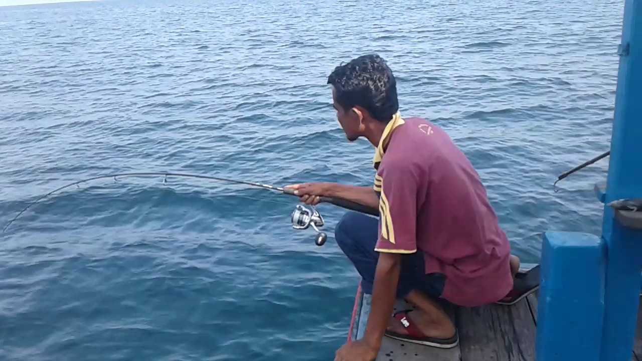 Memancing Tenggiri Di Tuas Yan Tekong Bang Mie Youtube