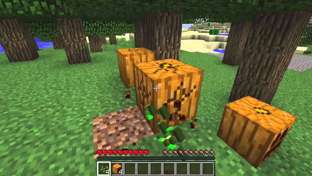 Where to find Pumpkins in Minecraft - YouTube