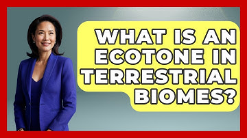 What Is An Ecotone In Terrestrial Biomes? - Explaining Ecology