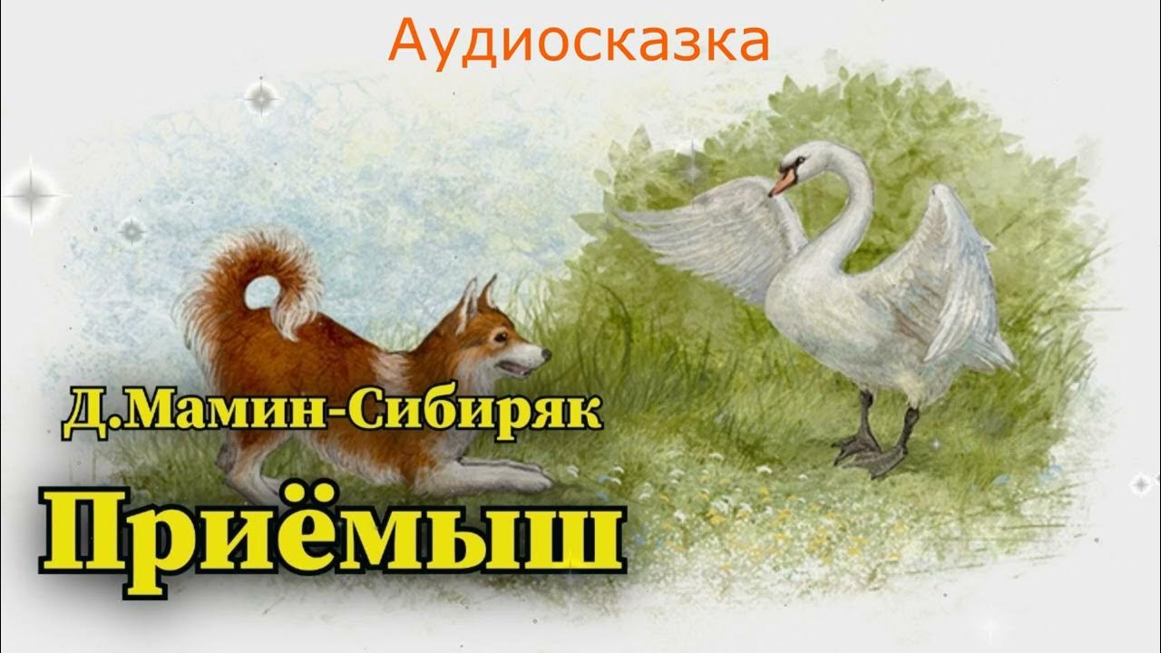 М пришвин приемыш. Приёмыш мамин Сибиряк. Приёмыш мамин Сибиряк иллюстрации. Сказка приёмыш мамин-Сибиряк. Иллюстрация к произведению приемыш мамин Сибиряк.