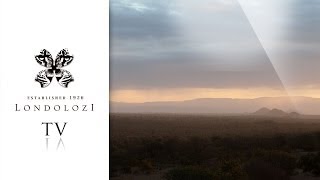 The Londolozi Eco-Guide - Londolozi TV