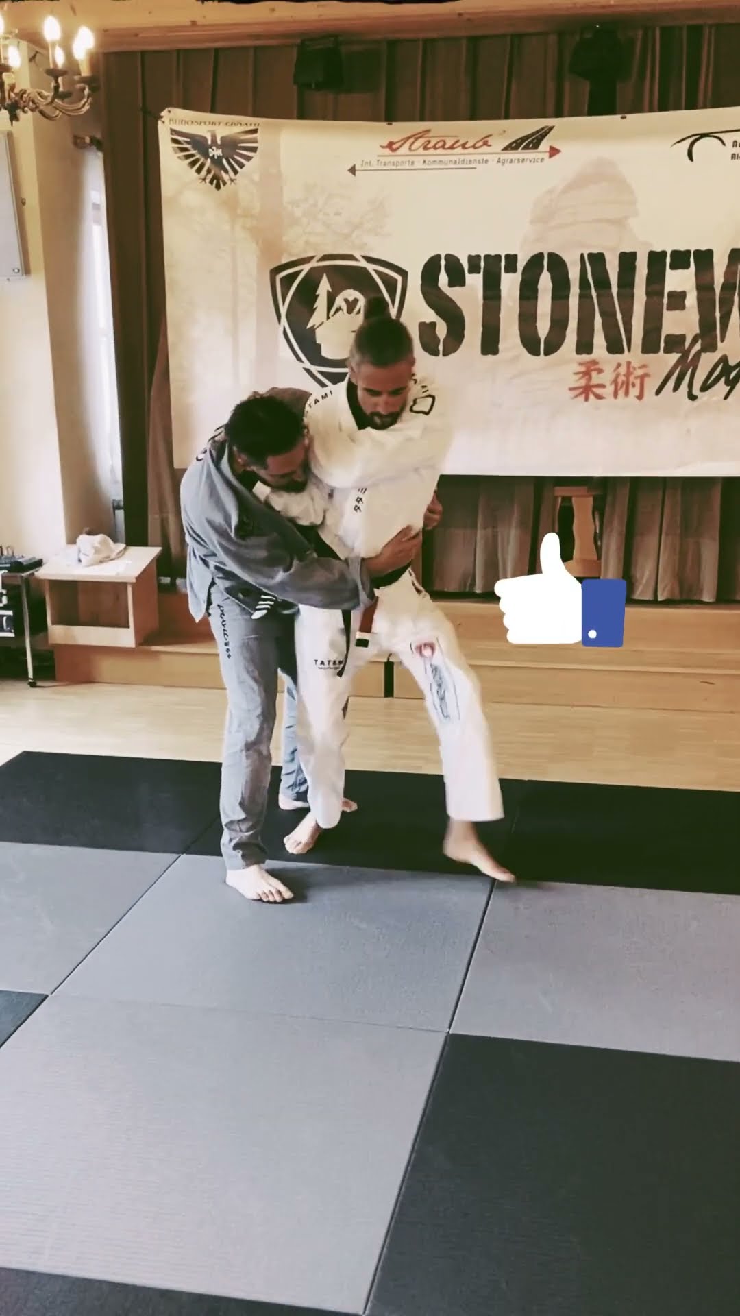 Mastering the De La Riva Guard 柔術 BJJ - ブルーレイ