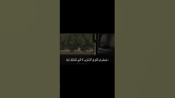 #محمود_خليل_الحصري #سورة_النجم