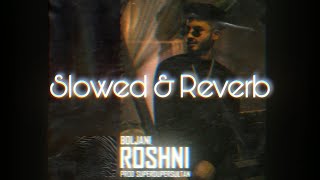 JANI - Roshni (Slow and Reverb)