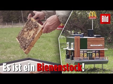 Video: McDonald's Für Bienen