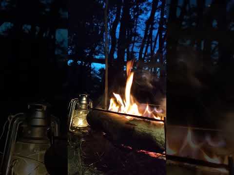 焚き火とオイルランタンとブルーモーメント 2023/05/24 #camping #キャンプ #bonfire