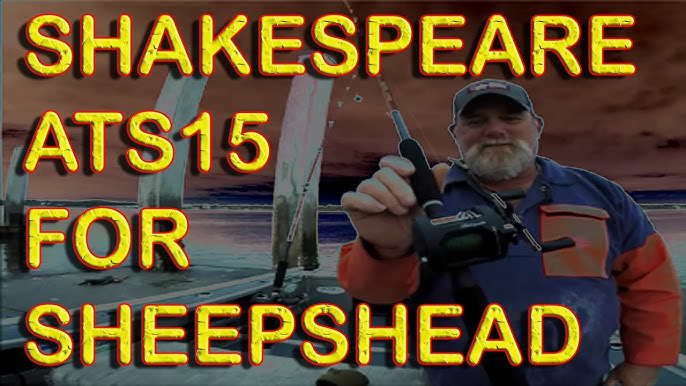 Shakespeare Tidewater Round Bait Casting Fishing Reel Review 