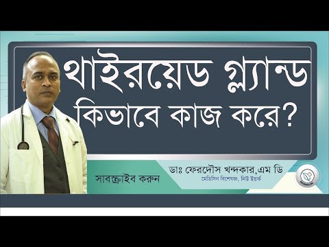 ভিডিও: থাইরয়েড গ্রন্থি কী উত্পাদন করে?