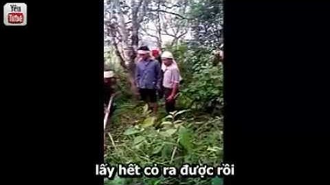 [Kinh Sub] Phong Tục chọn phần mộ cho người đã khuất của dân tộc Thái