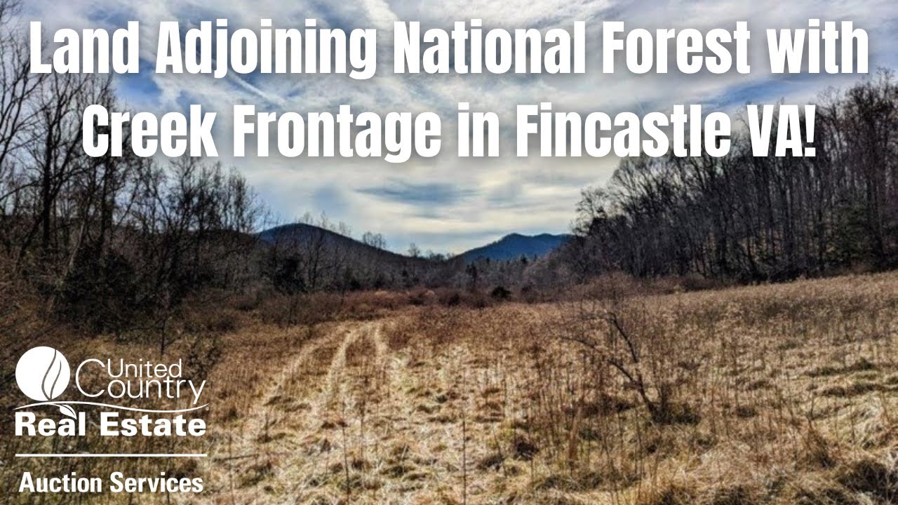 SOLD Land Adjoining National Forest with Creek Frontage in Fincastle
