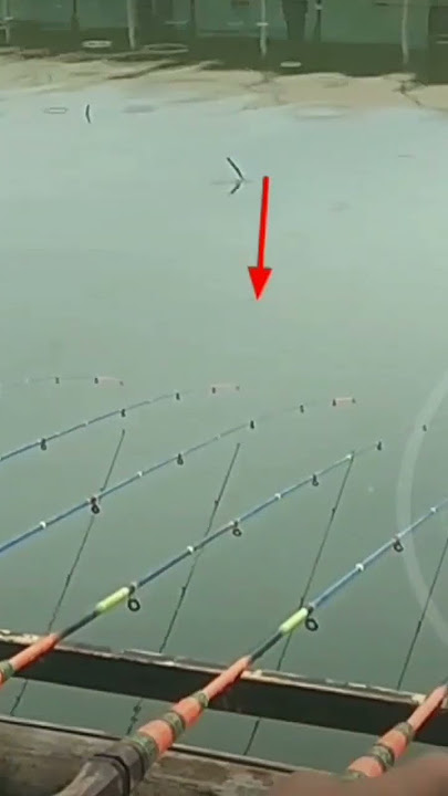 mancing Cirata terbaru2023,ranyud pa bos...