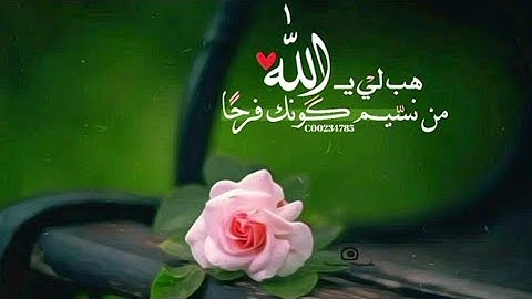 مؤثر جدا سورة هود بصوت الشيخ فارس عباد |  Sourate Houd by Sheikh Fares Abbad