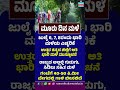 Monsoon Fury! Thunderstorms and High-Speed Winds to Lash Karnataka For Next 3 Days! ⚡⛈️ | SK Digital