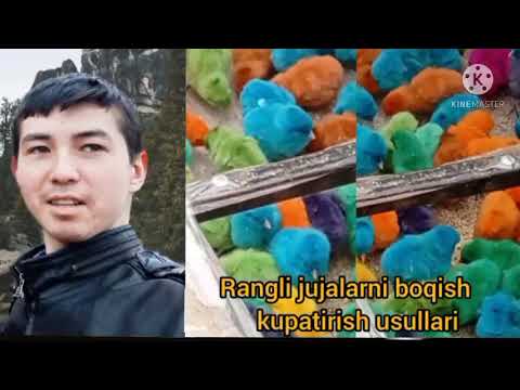 Video: Qanday Qilib Rangli Qalamlarni Tayyorlash Mumkin