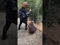 Обезьянка СинСин часть 1 хочуфакты животные книгаживотных факты Animals интересныефакты юмор Обезьянка СинСин часть 1 хочуфакты животные книгаживотных факты Animals интересныефакты юмор