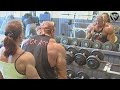 Dition mass monsters  muscle xxxl  motivation hardcore gym