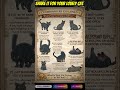 Cat behaviors explained  #catlovers #cats