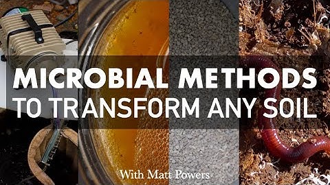Microbial Methods that Transform Any Soil with Matt Powers