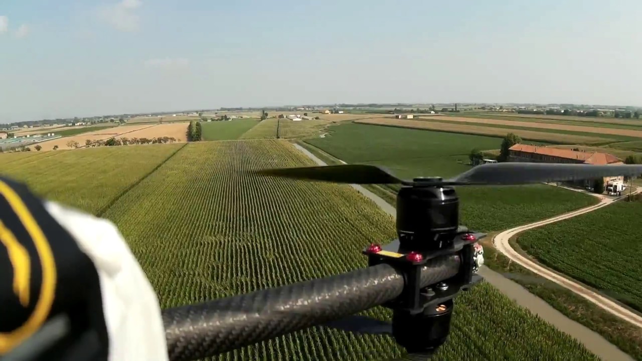 Lotta alla piralide del mais con Trichogramma brassicae distribuito da droni