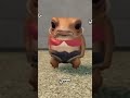 الحياه بقى لونها بمبي وانا جنبك وانت جنبي