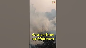 पंजाब पराली आग का वीडियो वायरल | #pollution #farmer #parali #pollutionindelhi