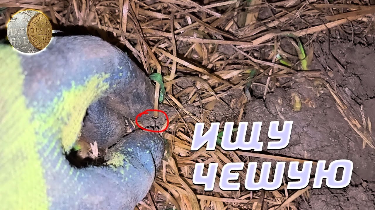 1912 / Последнее серебро сезона 2025 / Зимний поиск монет и кладов с XP Deus 2