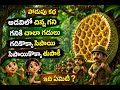 #amma#funny#podupu kathalu#telugu riddle#summer#yt shorts#shorts#virla#comedyshorts
