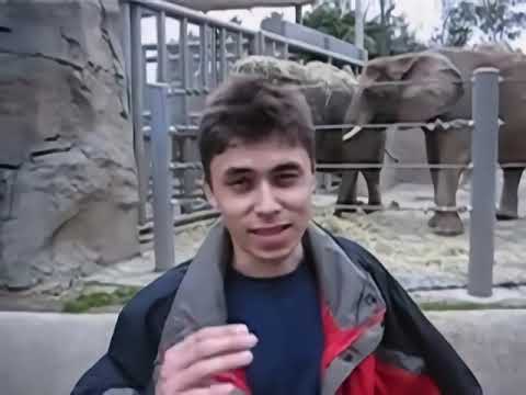 "Me at the Zoo" in 8K (AI upscaled)