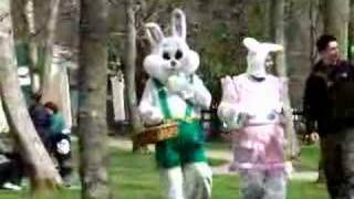 Bunny Adult costume pink