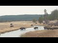 Fly Fishing in Yellowstone National Park on National Public Lands Day