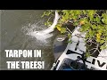 CRAZY TARPON FIGHT AND MULTIPLE SNOOK!