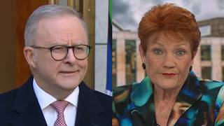 ‘You’re insulting them’: Pauline Hanson takes aim at Albanese’s criticism of monoculture