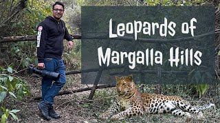 Leopards Of Margalla Hills - Awareness Video