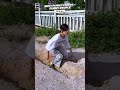 Funny Videos 😂😂😂🤣 #funny #funnyvideo #shorts #shortfunny #shortsviral #shortvideo #funnyshorts
