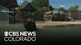 Extreme heat is altering life at the Denver Zoo Conservation Alliance