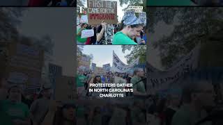 US: Protest After 81 Arrested As Federal Agents Launch Mass Immigration Raids | N18G