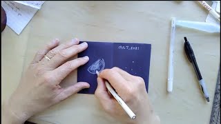 Astronomy Nature Journaling