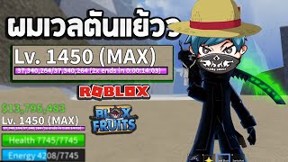 Roblox ฟาร์มจนเวลตัน ใช้เวลาไม่กี่วัน (Blox Fruits)